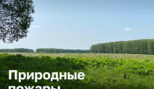 Федеральная информационная противопожарная кампания «Останови огонь!»