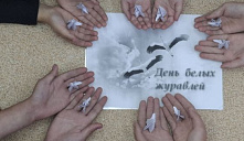 Акция «Дни белых журавлей»
