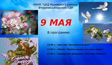 Программа праздничных мероприятий на 9 мая