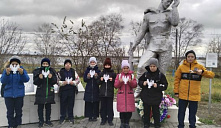 Акция «Дни белых журавлей»
