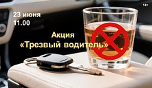 Социальная акция «Трезвый водитель»