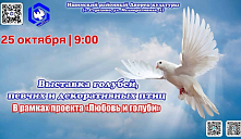О нас пишут!