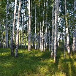 «С юбилеем, Ишимский район!» 