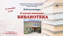 Библиоэкскурс «В центре внимания – библиотека»