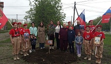 Акция «Папина березка»