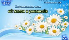 Поздравительная акция «С теплом и ромашкой»