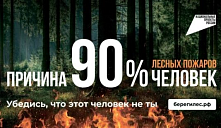 Федеральная информационная противопожарная кампания «Останови огонь!»