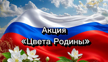 Патриотическая акция «Цвета Родины»