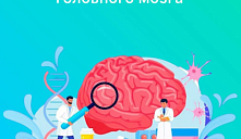Неделя сохранения здоровья головного мозга